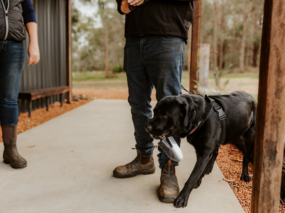 The Margaret River Truffle Farm景点图片