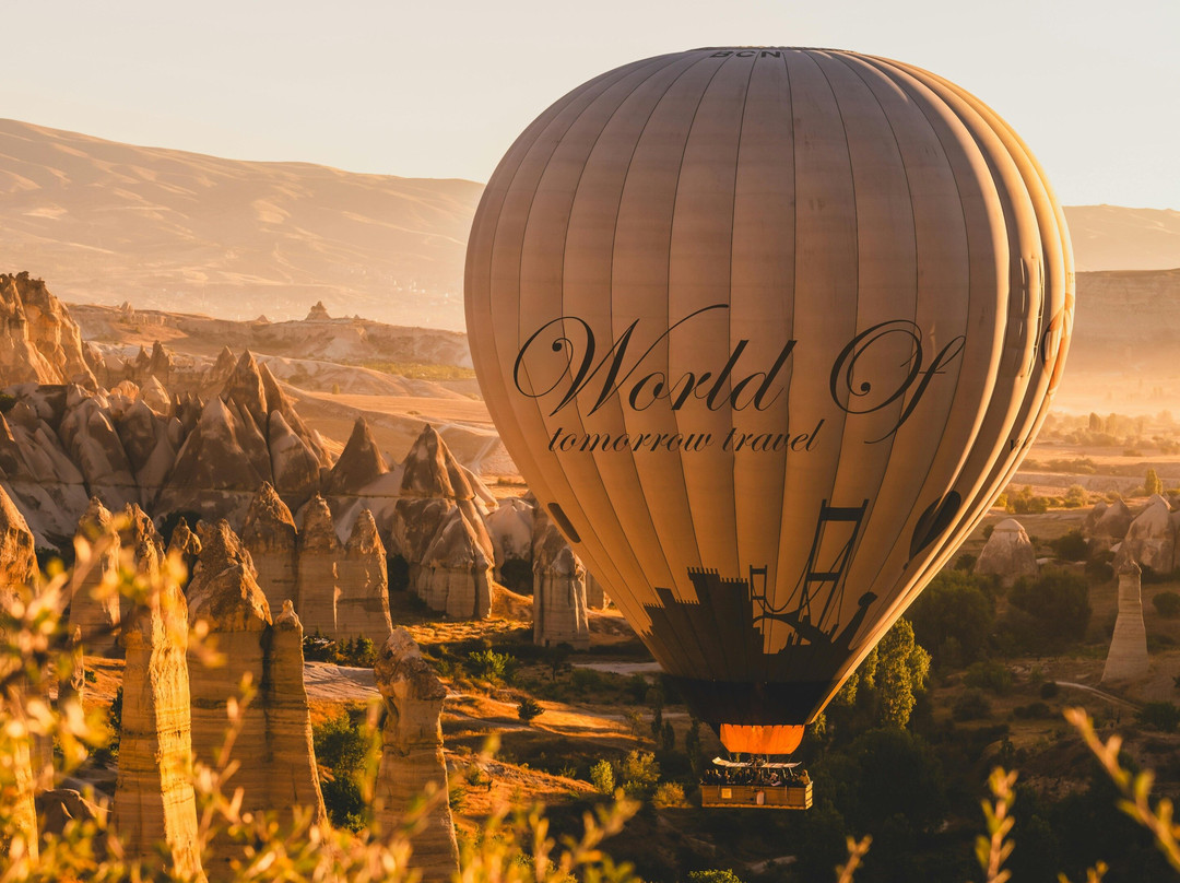 World Of Tomorrow Travel