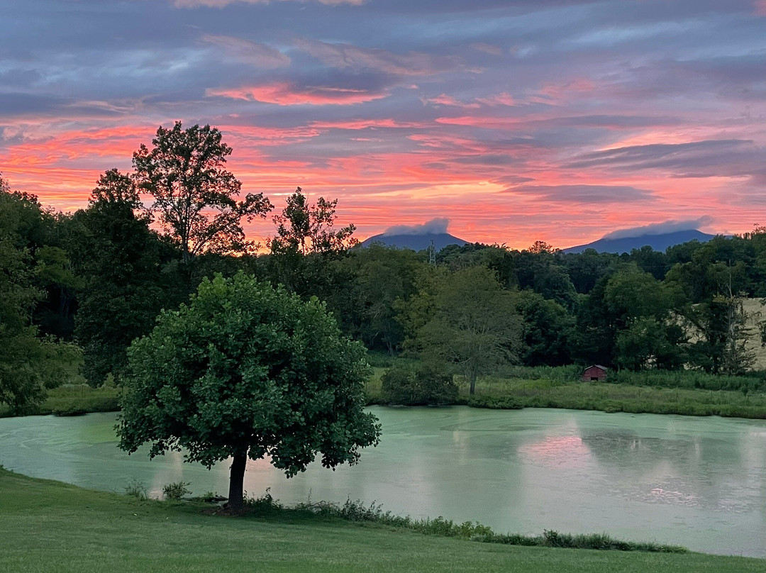 Vanquility Acres Inn & Peaksview Cottages主图