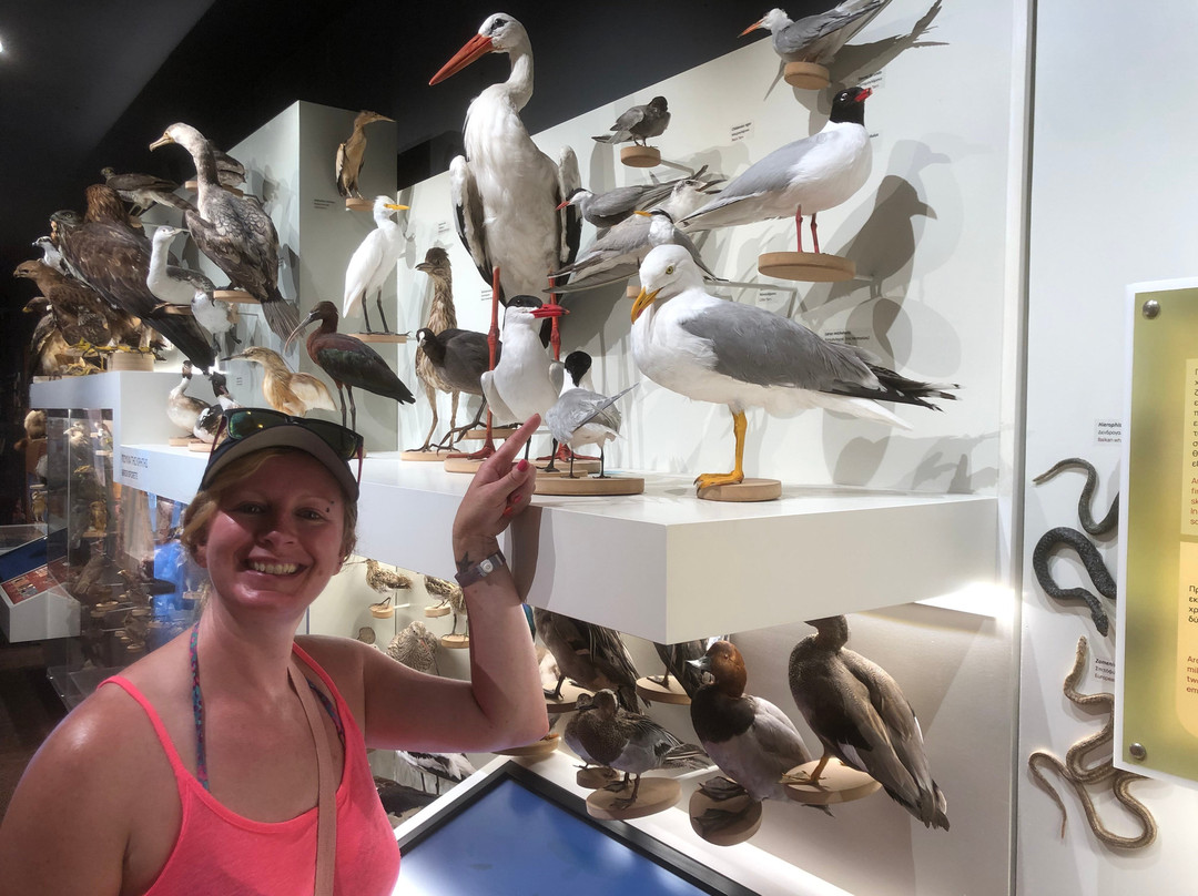 The Natural History Museum of Crete-伊拉克利翁必去景点