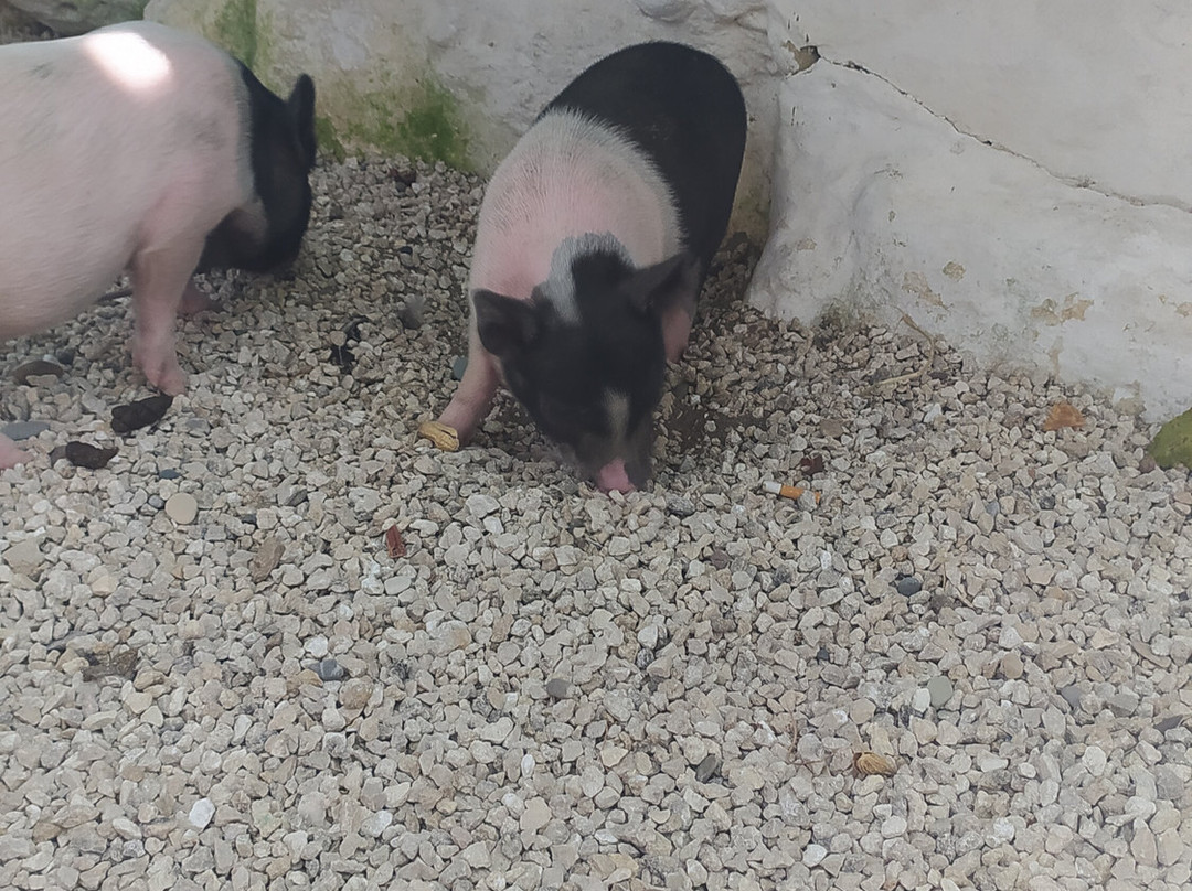 Rikkos Beach-Geroskipou必去景点