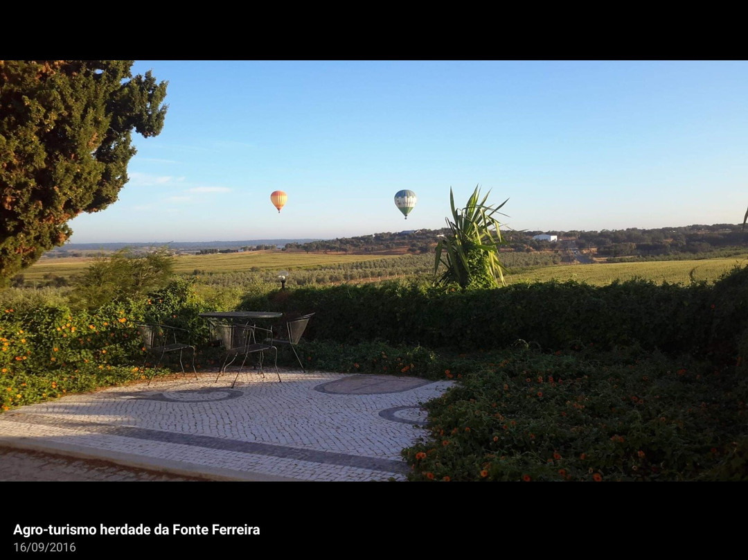 Herdade da Fonte Ferreira主图