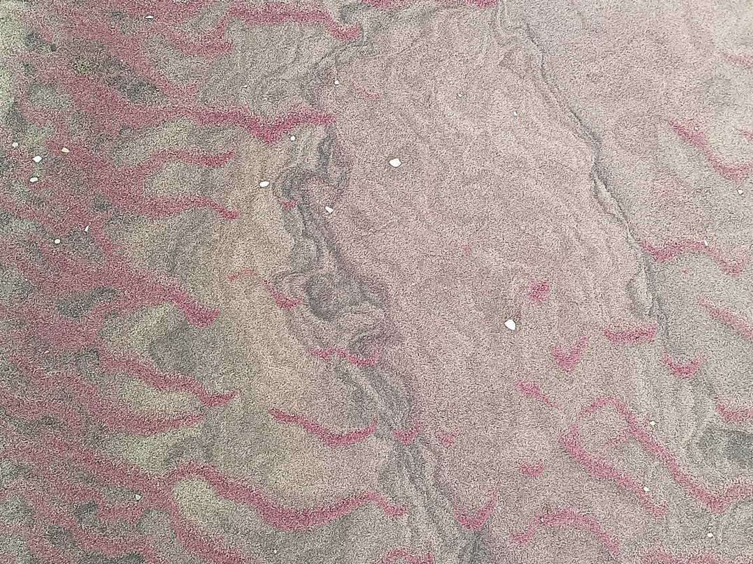 Inami Safaris-华维斯湾必去景点