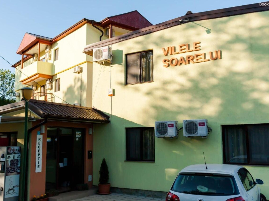 Vilele Soarelui主图