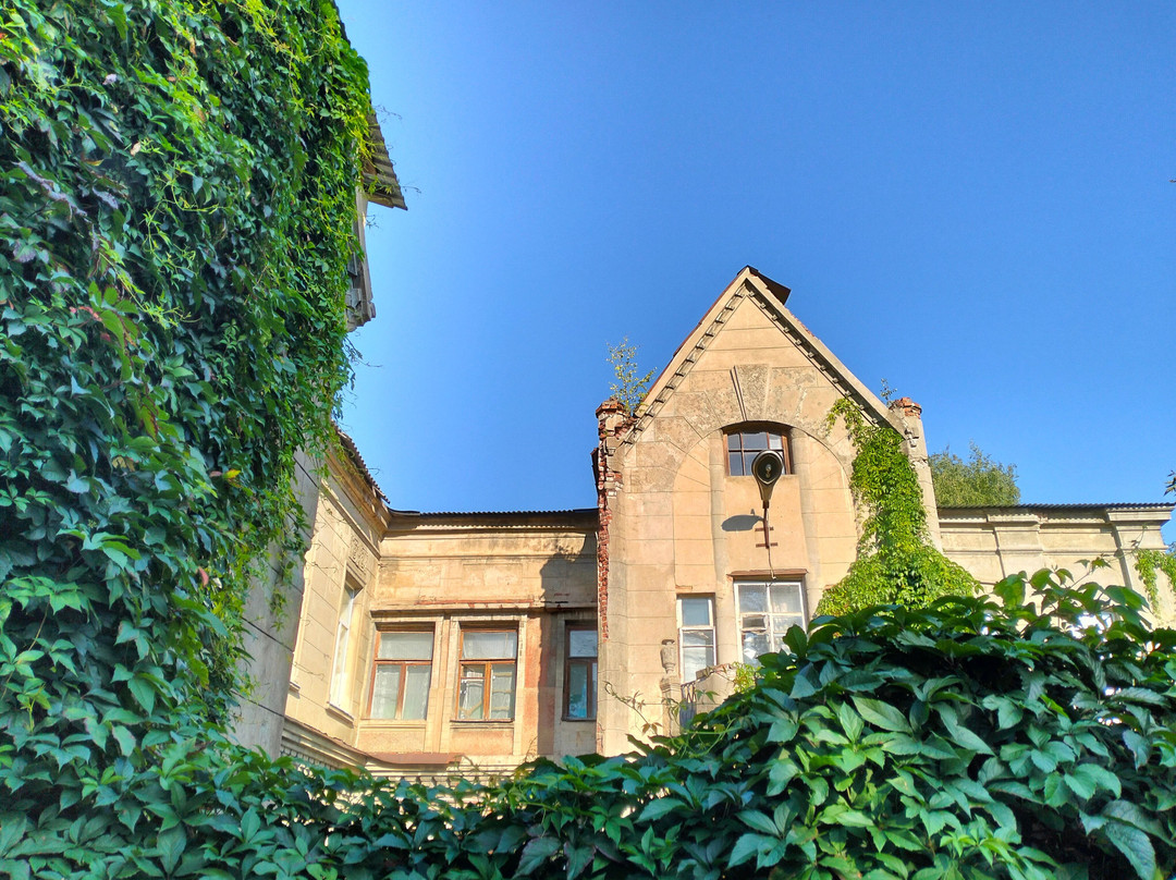 Dyuringer's Estate景点图片
