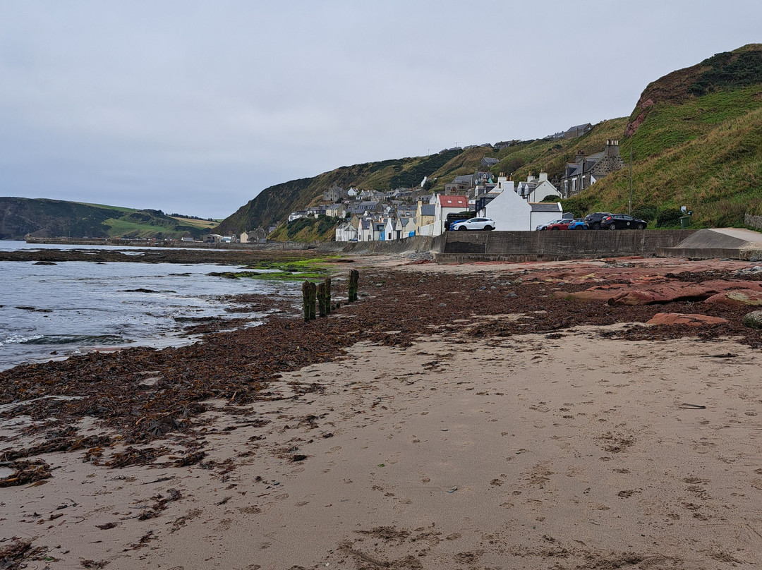 Gardenstown Beach-Gardenstown必去景点