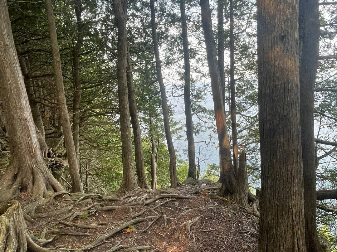 Door Bluff Headland’s County Park-Ellison Bay必去景点