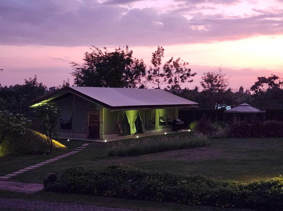 Kilimanjaro Luxury Camp