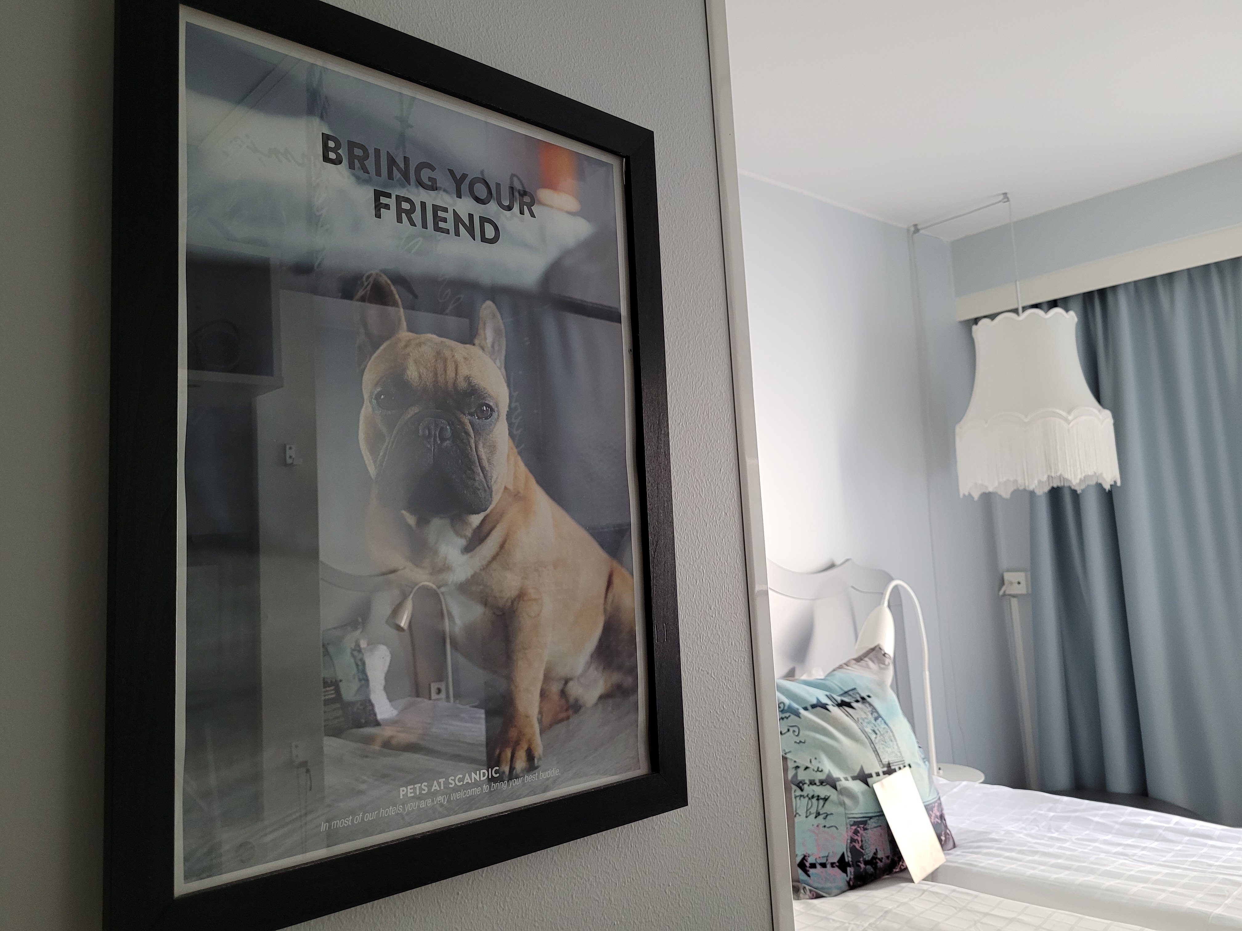 斯堪迪克马耳曼酒店-客卧