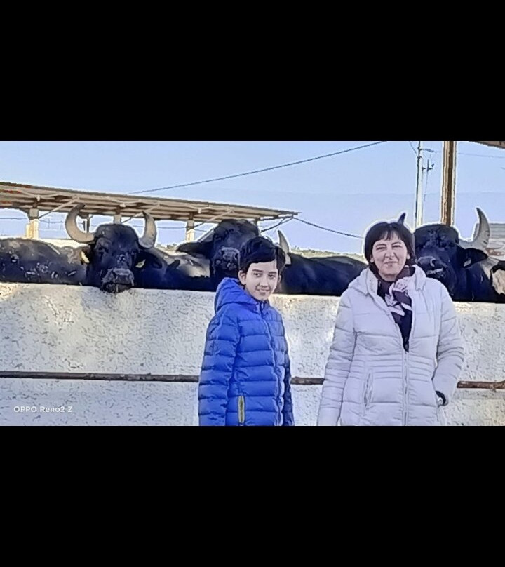 Masseria Li Gatti景点图片
