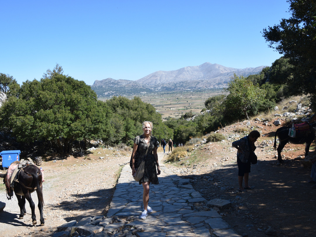 Cave Of Zeus-Anogia必去景点