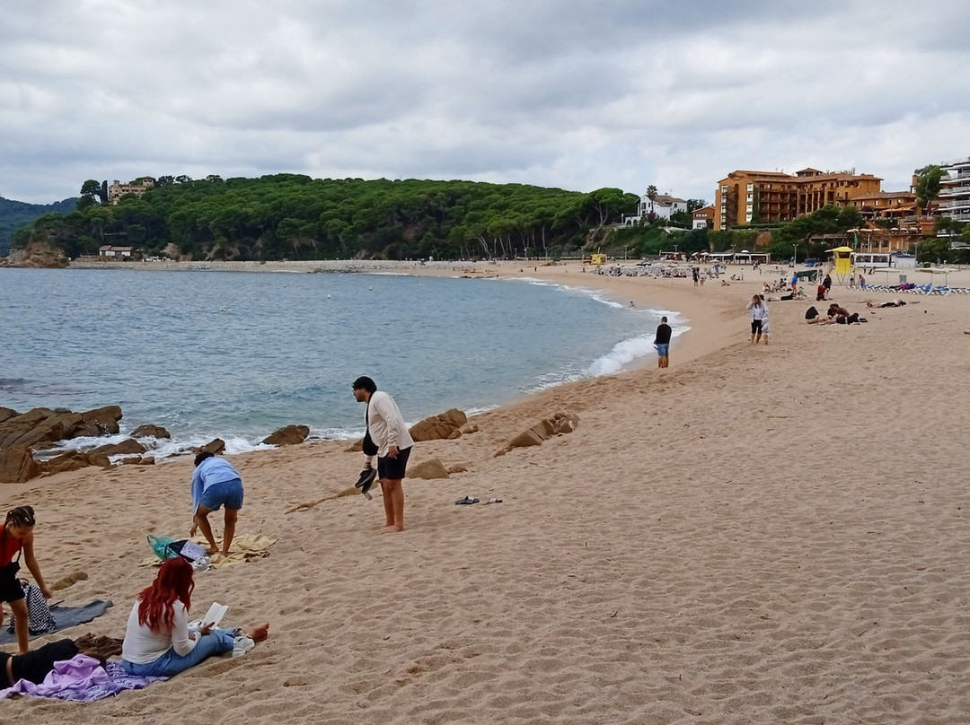 Playa de Fenals景点图片
