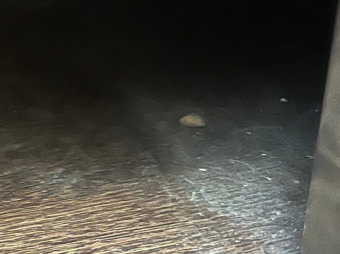 Oxford Suites Pendleton主图