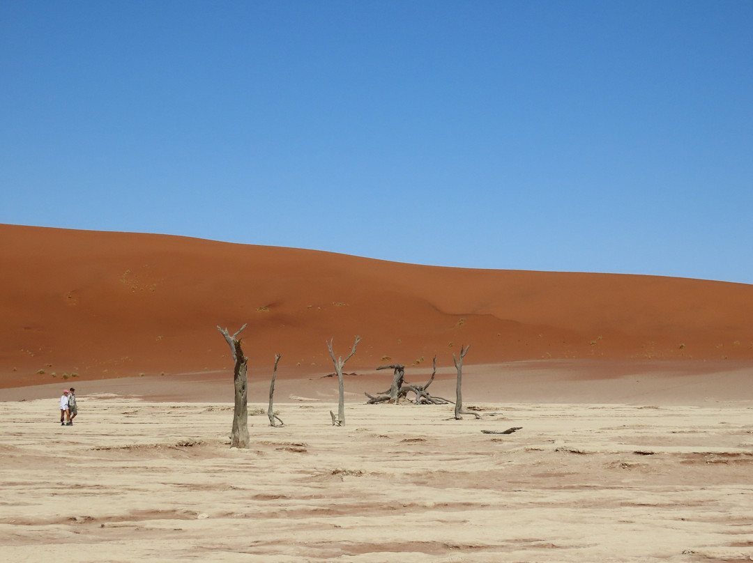 Namib-Naukluft National Park-赛斯瑞必去景点