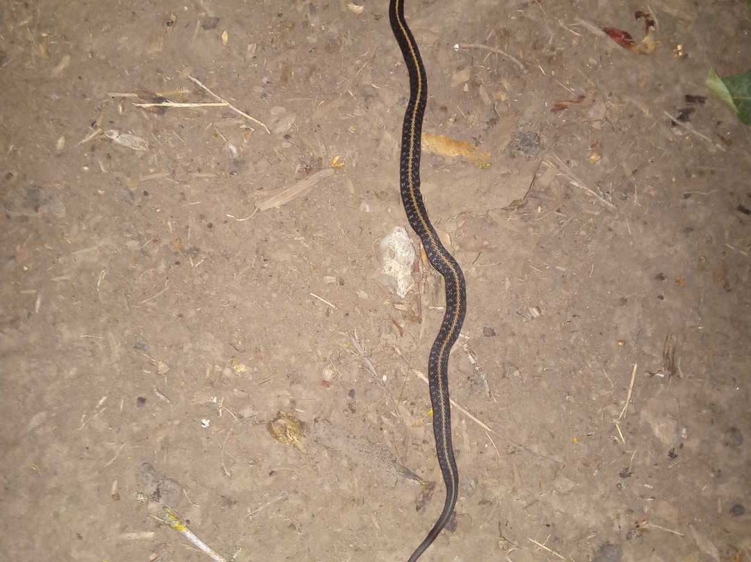 Wallace House Park-Keizer必去景点