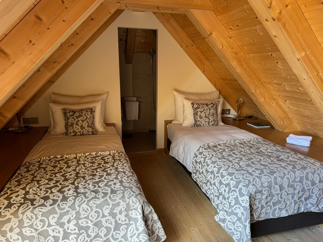 Hotel Alte Post Bonaduz主图