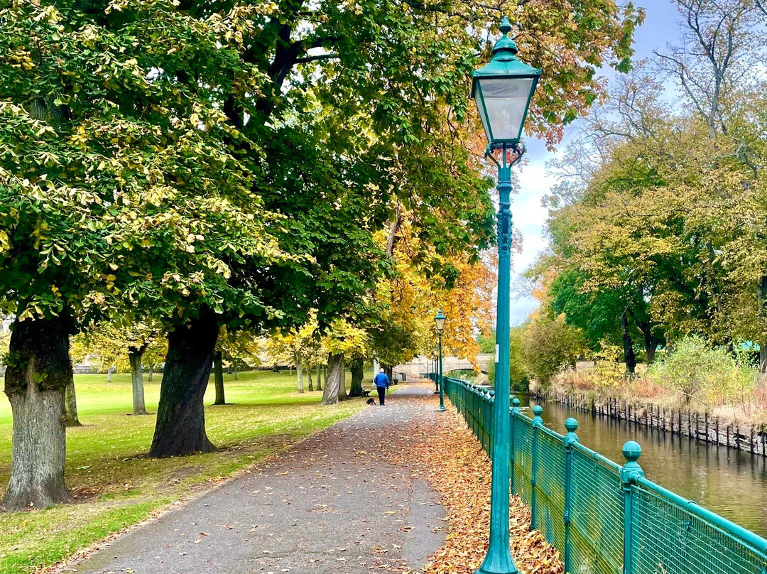 Haugh Park-库珀必去景点