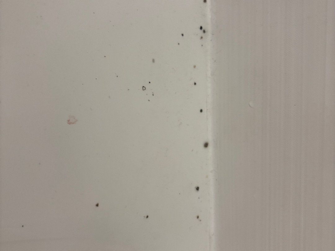 奇利科西东智选假日酒店主图