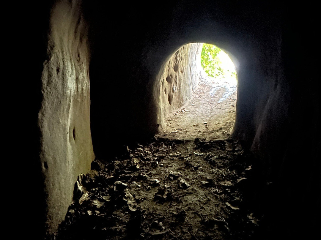 Les grottes des Roches Grises « La Lamberta »景点图片