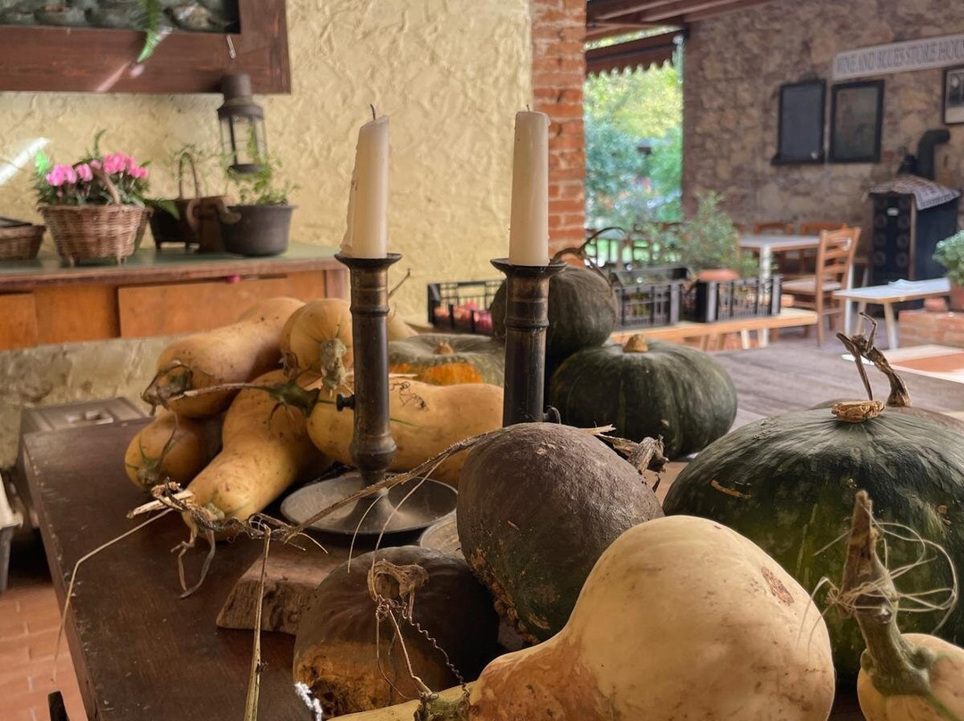 Agriturismo Palazzetto Ardi主图