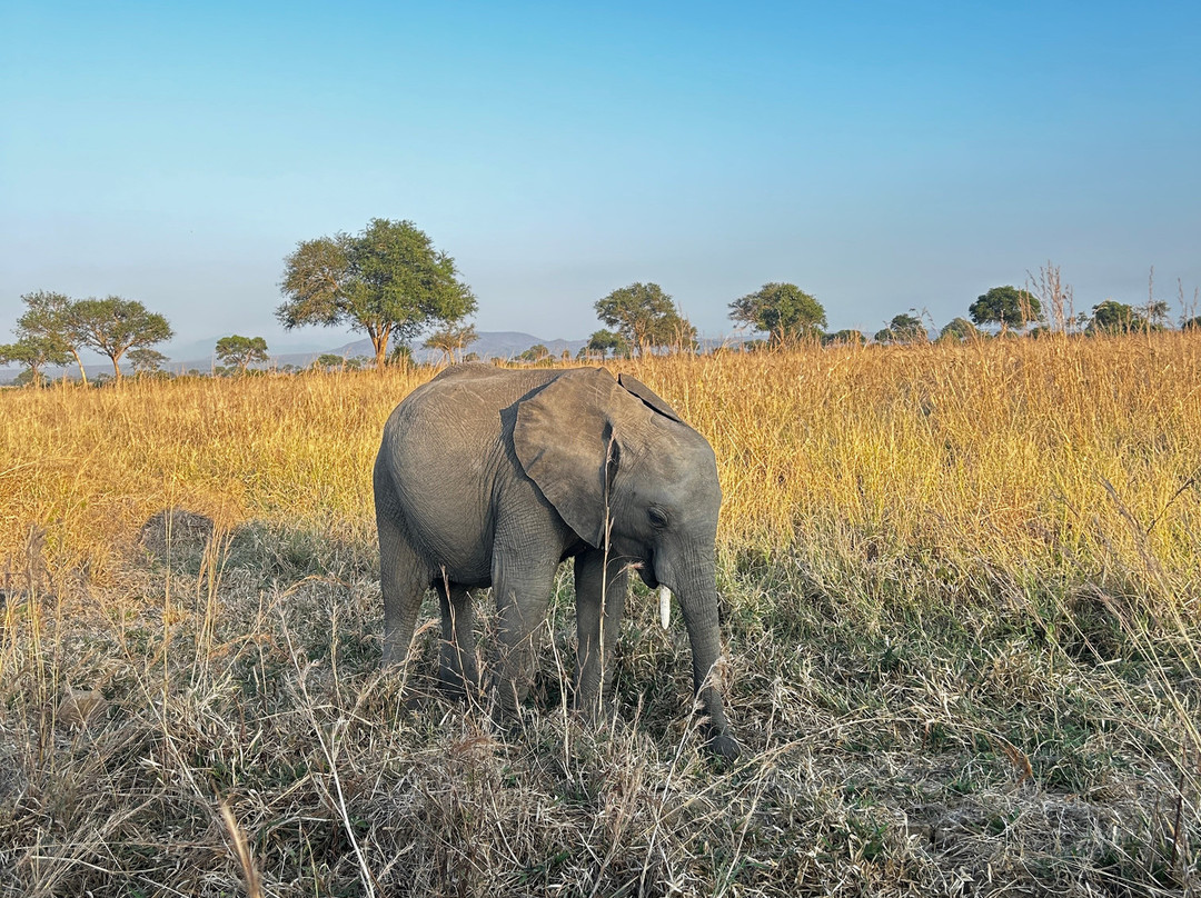 Kingnet Tours and Trave-石头城必去景点