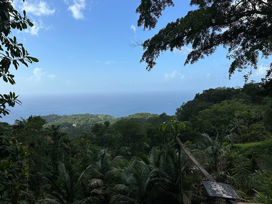 Ellis Clarke-克朗波因特必去景点