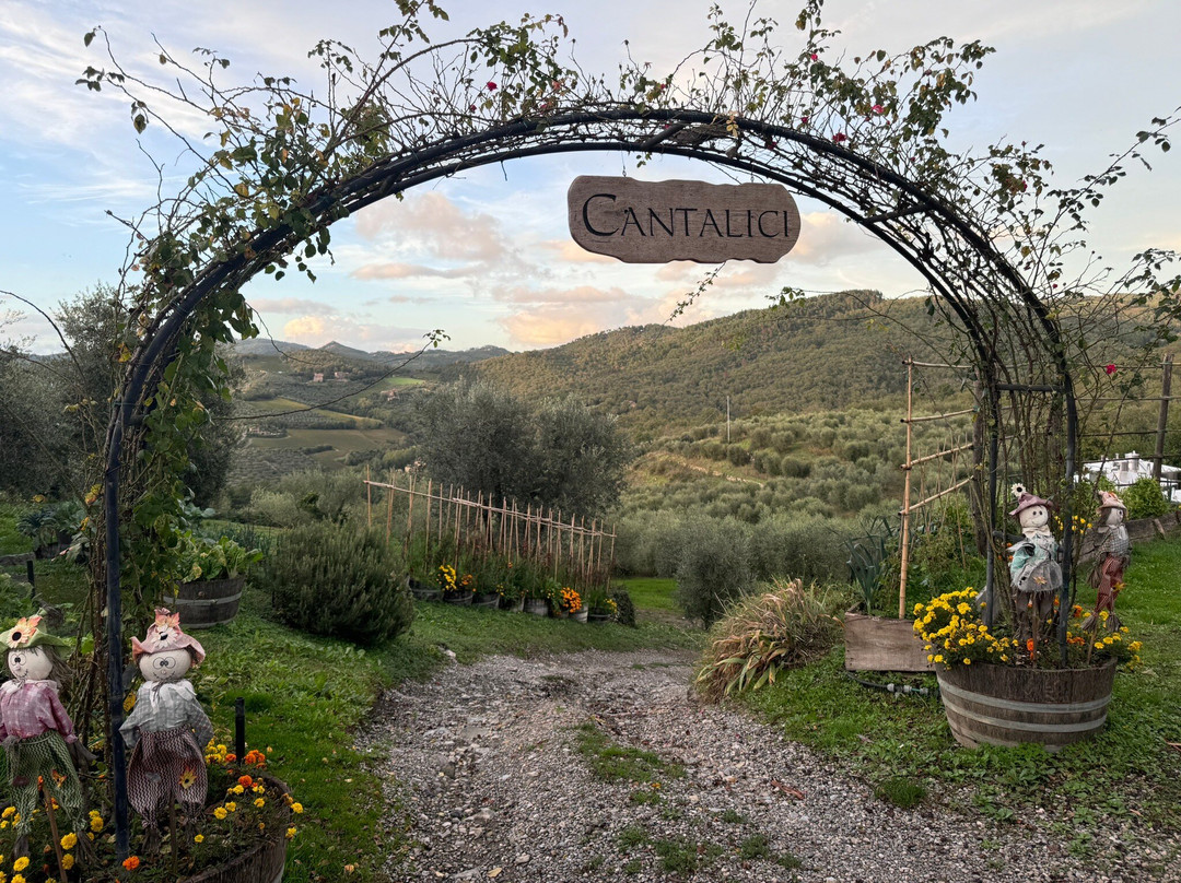 Cantalici Winery-加约莱因基安蒂必去景点