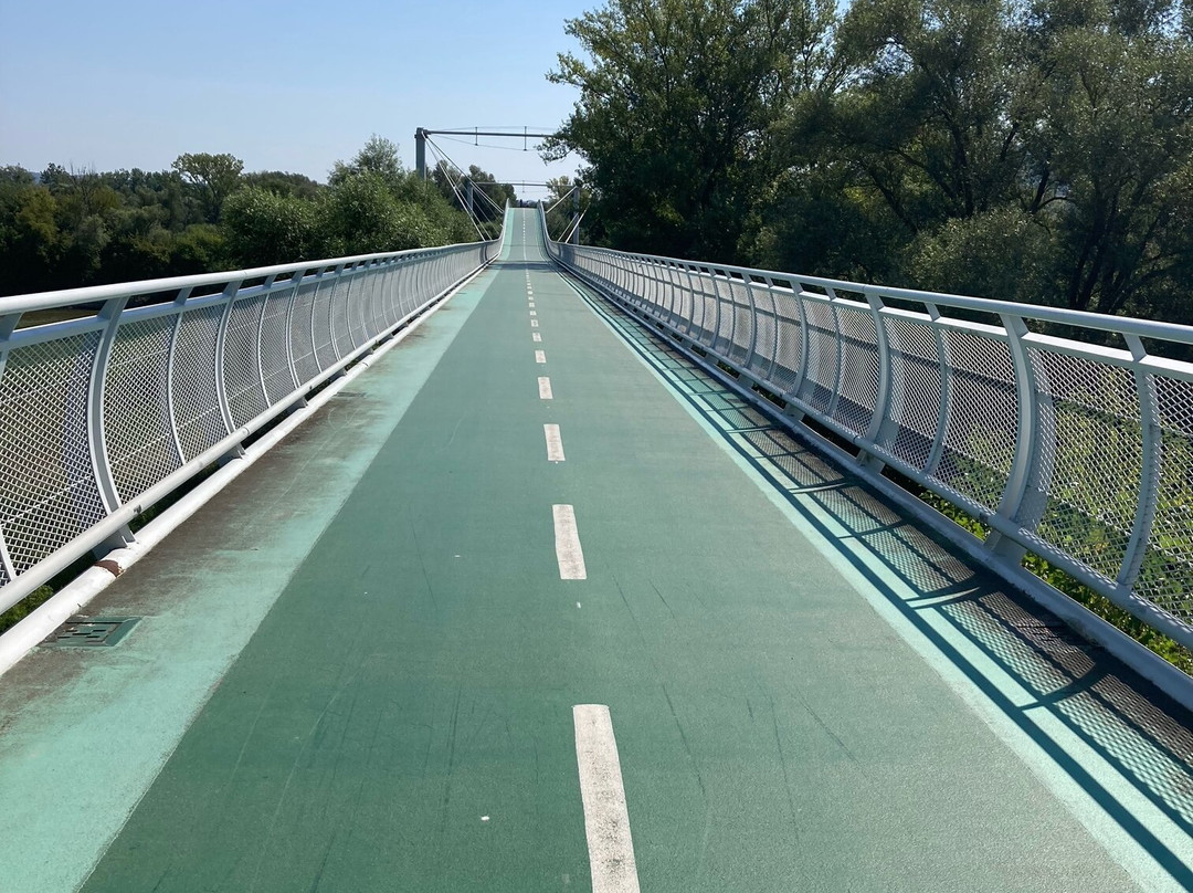 Freedom Cycling Bridge-Devinska Nova Ves必去景点