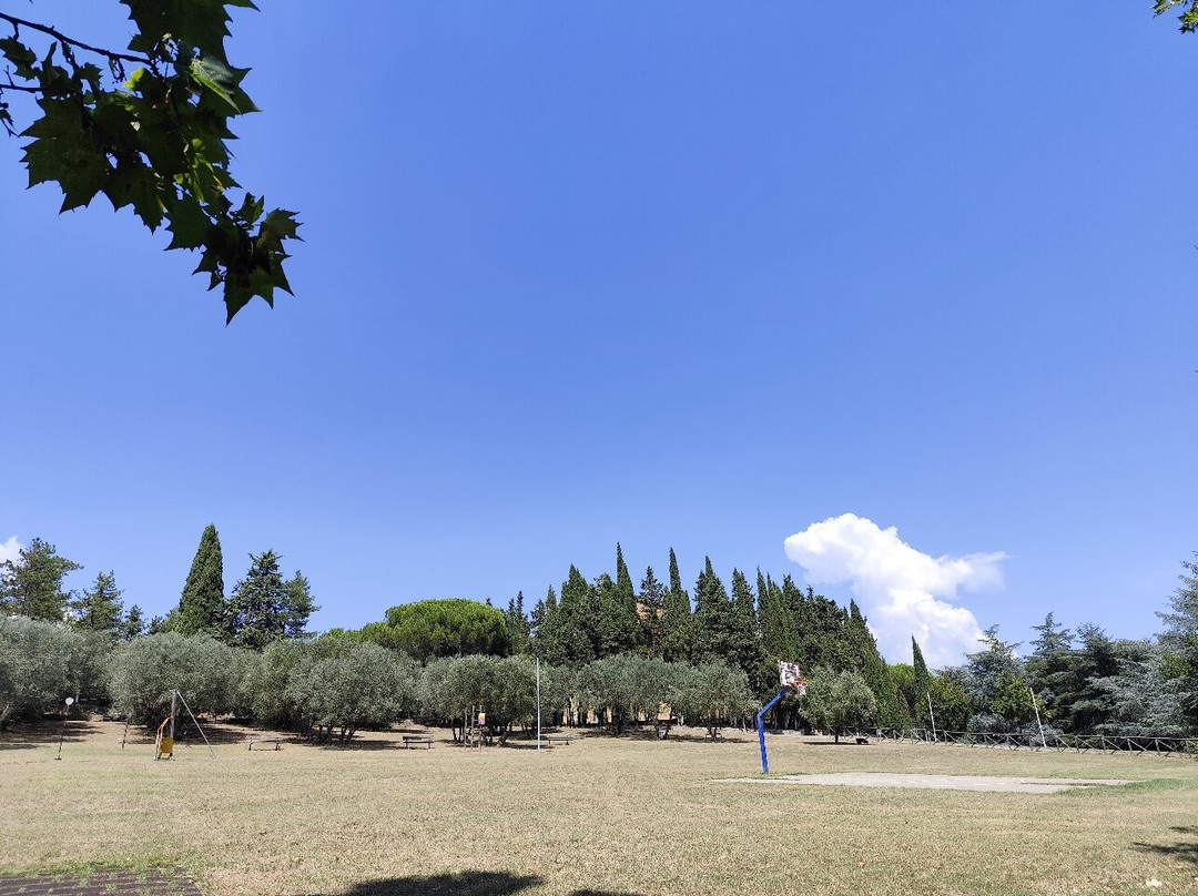 Parco Colle del Pionta景点图片
