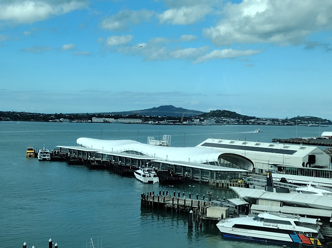 M Social Auckland主图