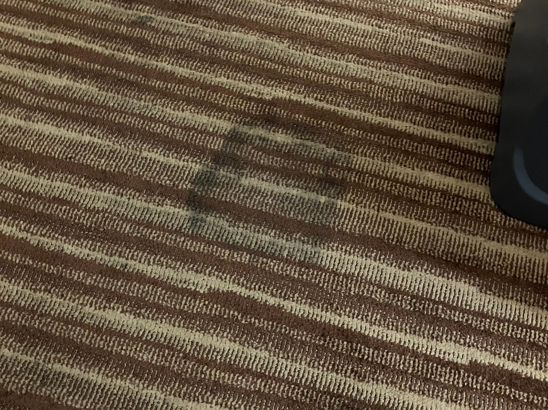 Quality Inn & Suites主图