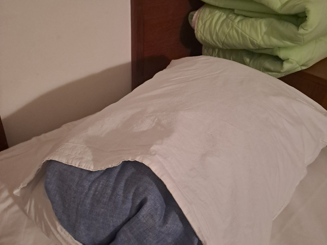 Hotel Saraj主图