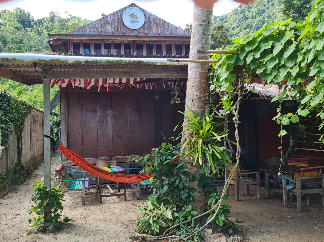 Bubble Addict-韦岛必去景点