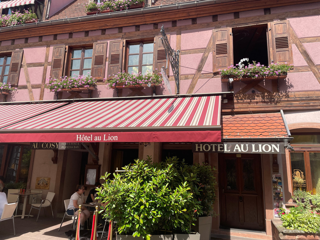 Hôtel Au Lion主图
