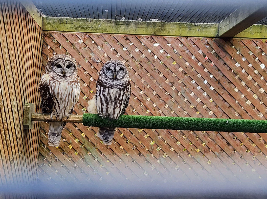 Hope For Wildlife景点图片