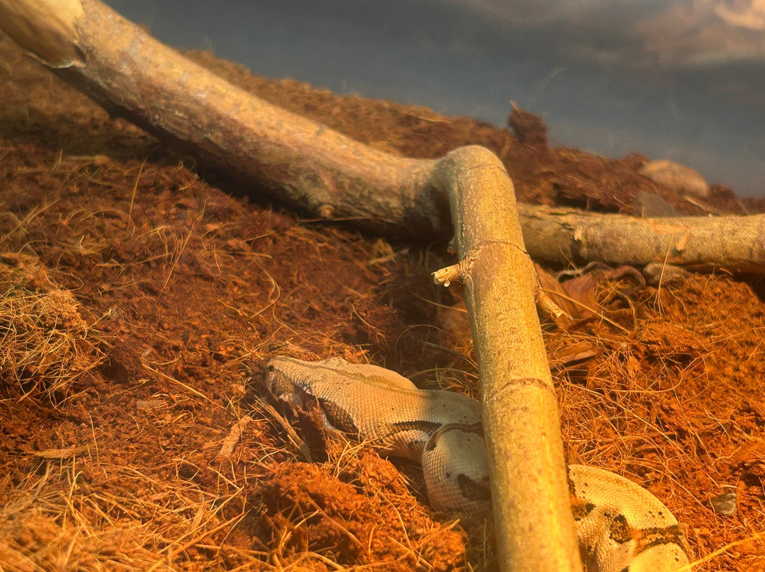 Tropicarium Park景点图片