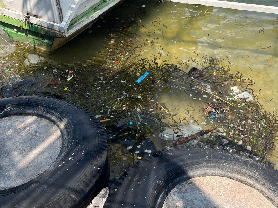 Passig Islet-塔里库德岛必去景点