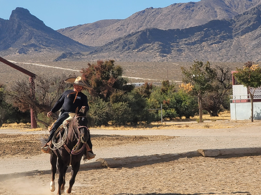 Sandy Valley Ranch-普里姆必去景点