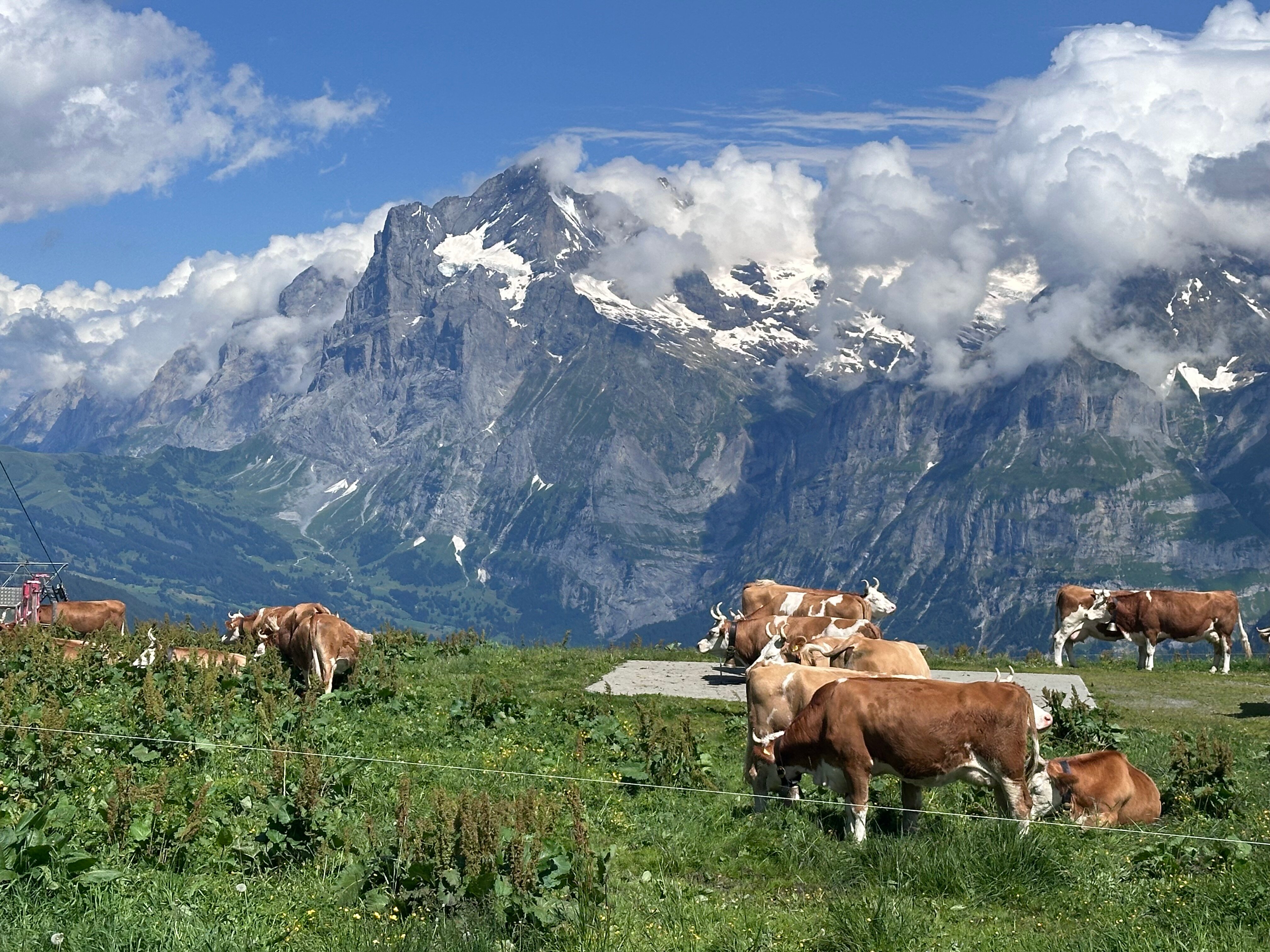 贝豪斯酒店-官方