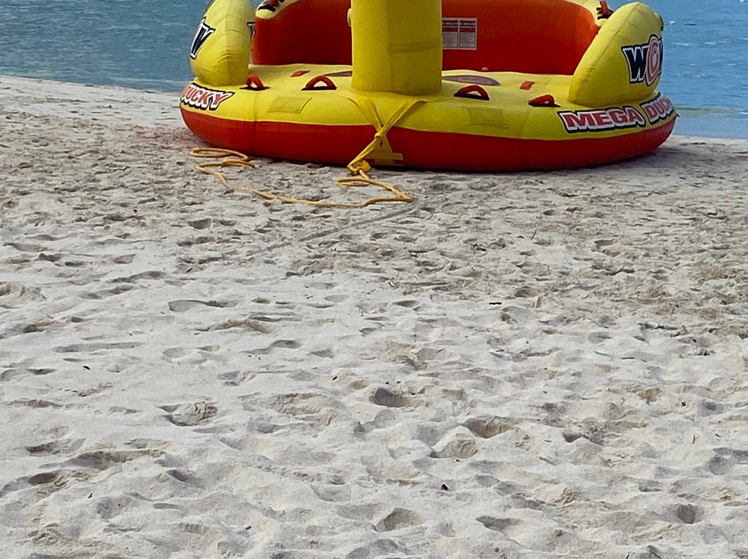 Fun 4 Every 1 Watersports Aruba-棕榈/鹰海滩必去景点