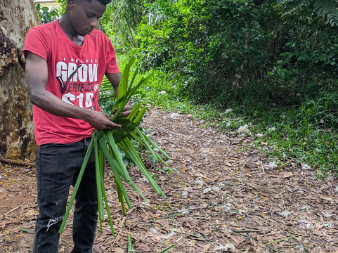 Asm Tours And Travel-桑给巴尔市必去景点