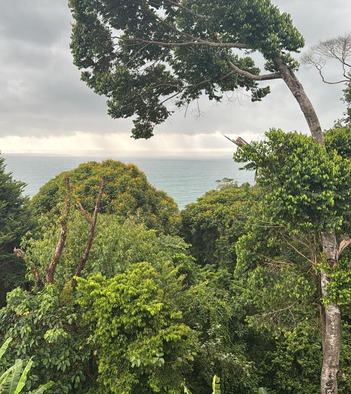 Villas Alturas主图