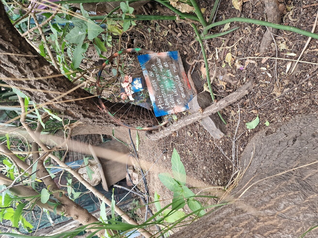 Obesa Cacti Nursery-格拉夫-里内特必去景点