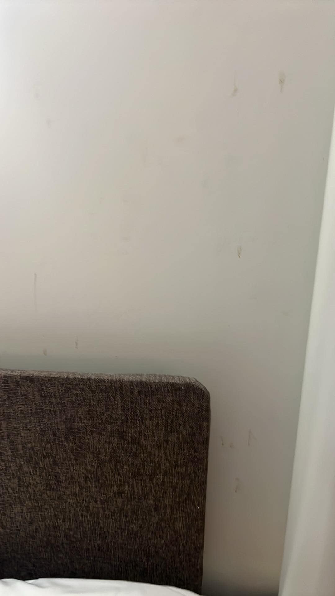 布拉德福钟楼酒店-客卧
