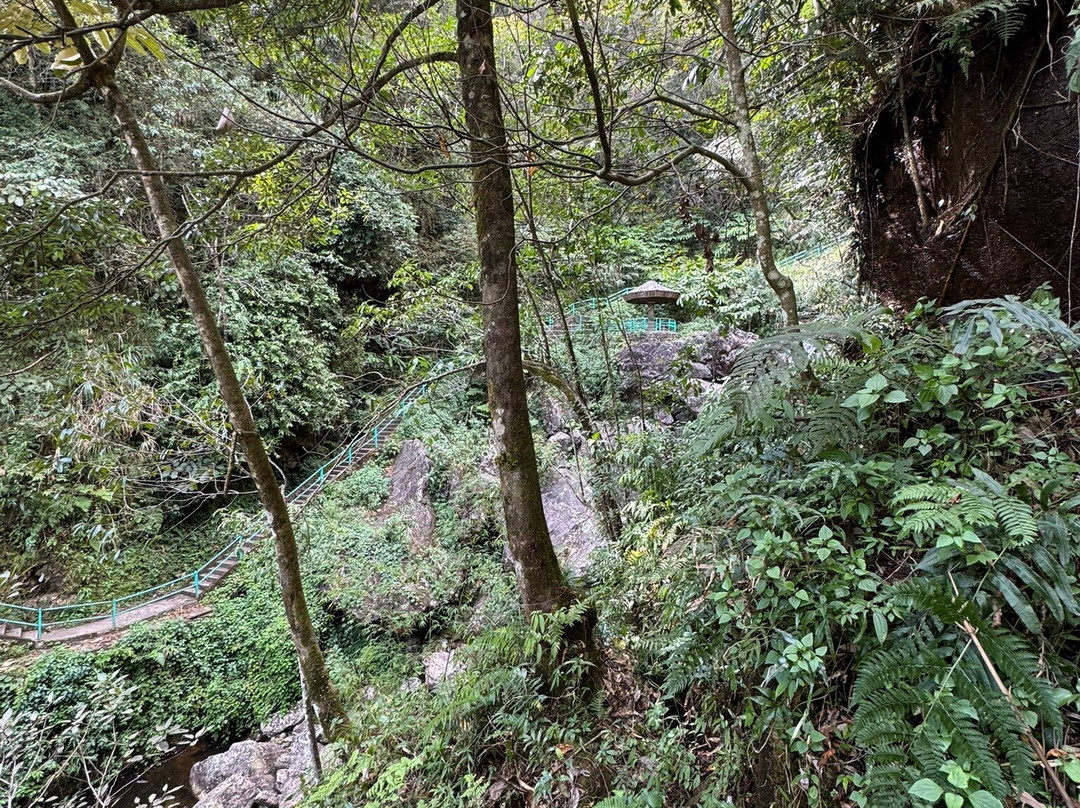 Thac Bac Waterfall (Silver Falls)景点图片