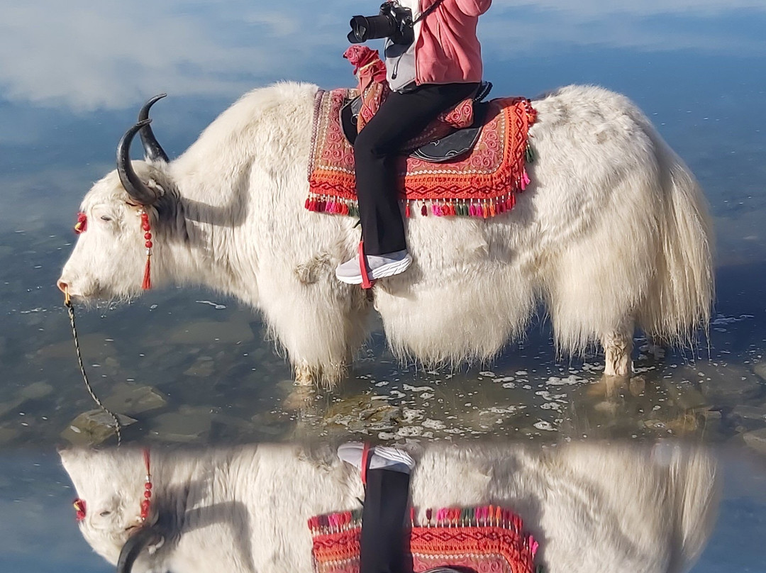 白沙山-阿克陶县必去景点