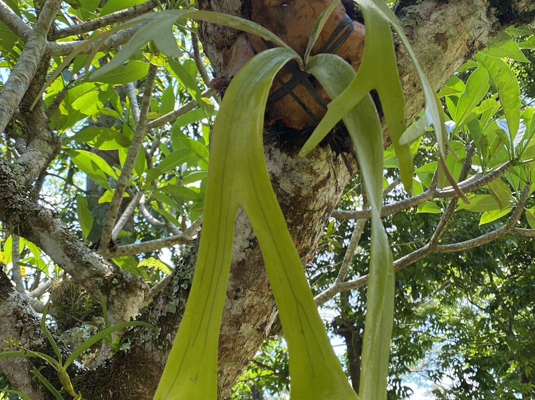 Pura Mengening Kelusa-吉安雅必去景点
