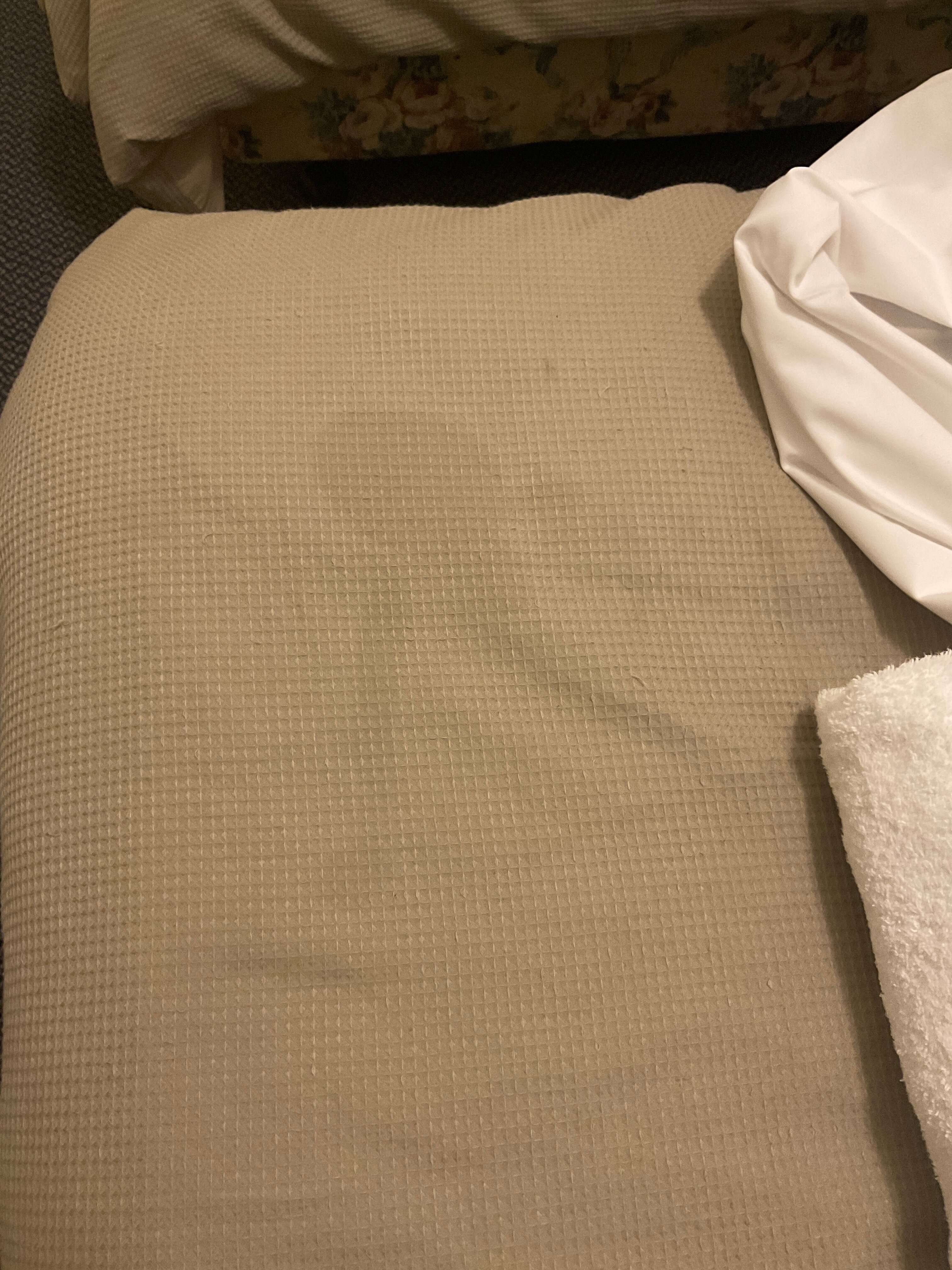 山楂花园服务式公寓酒店-客卧