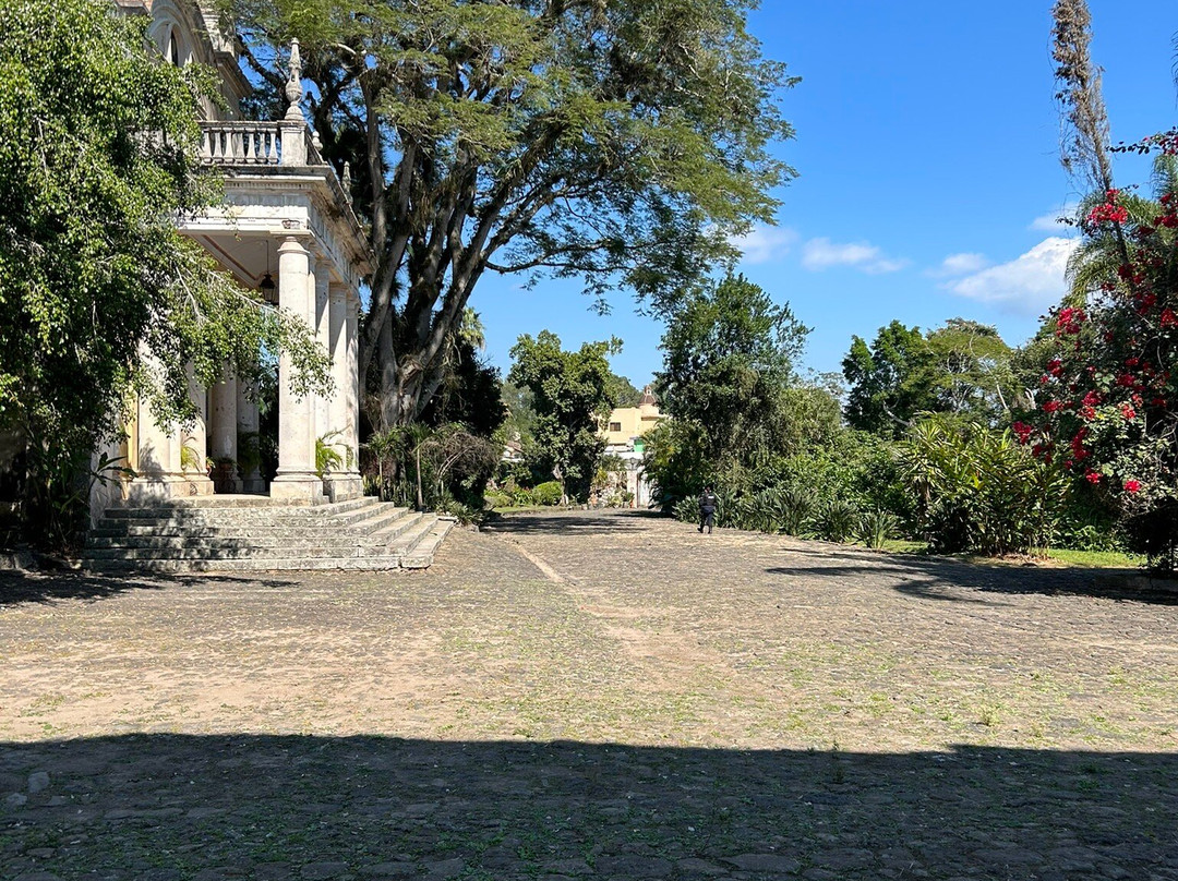 Museo El Lencero景点图片