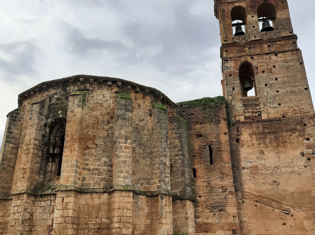 Iglesia de San Martin景点图片